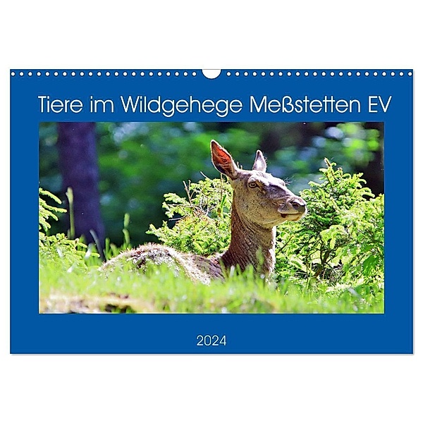 Tiere im Wildgehege Meßstetten EV (Wandkalender 2024 DIN A3 quer), CALVENDO Monatskalender, Günther Geiger