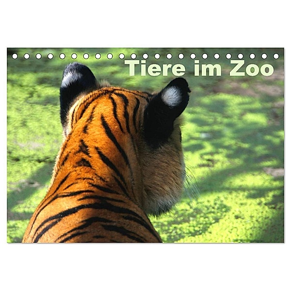 Tiere im Zoo (Tischkalender 2024 DIN A5 quer), CALVENDO Monatskalender, Antje Kügler