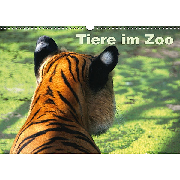 Tiere im Zoo (Wandkalender 2019 DIN A3 quer), Antje Kügler