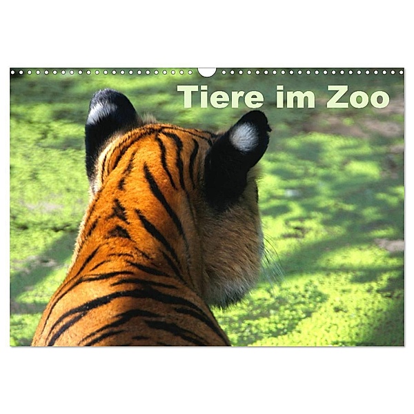 Tiere im Zoo (Wandkalender 2024 DIN A3 quer), CALVENDO Monatskalender, Antje Kügler