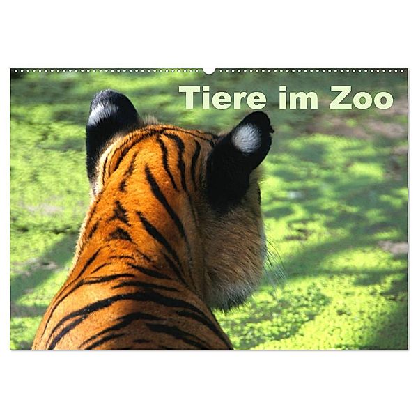 Tiere im Zoo (Wandkalender 2025 DIN A2 quer), CALVENDO Monatskalender, Calvendo, Antje Kügler