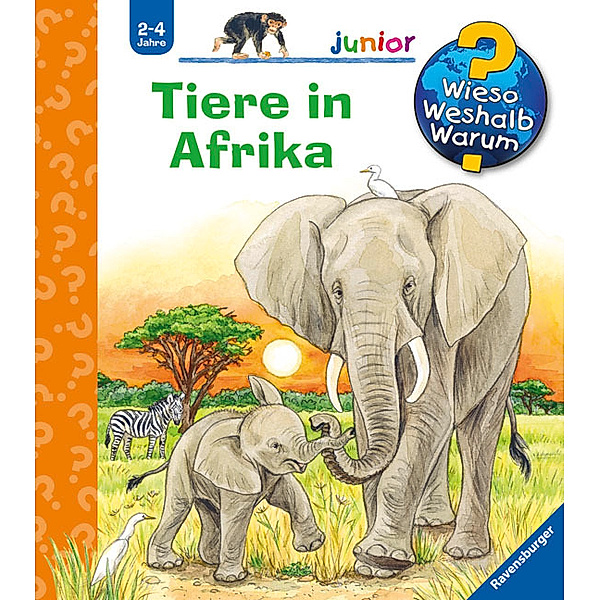 Tiere in Afrika / Wieso? Weshalb? Warum? Junior Bd.50, Daniela Prusse
