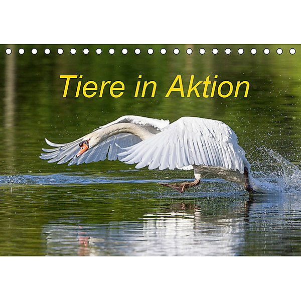 Tiere in Aktion (Tischkalender 2019 DIN A5 quer), Wilfried Martin