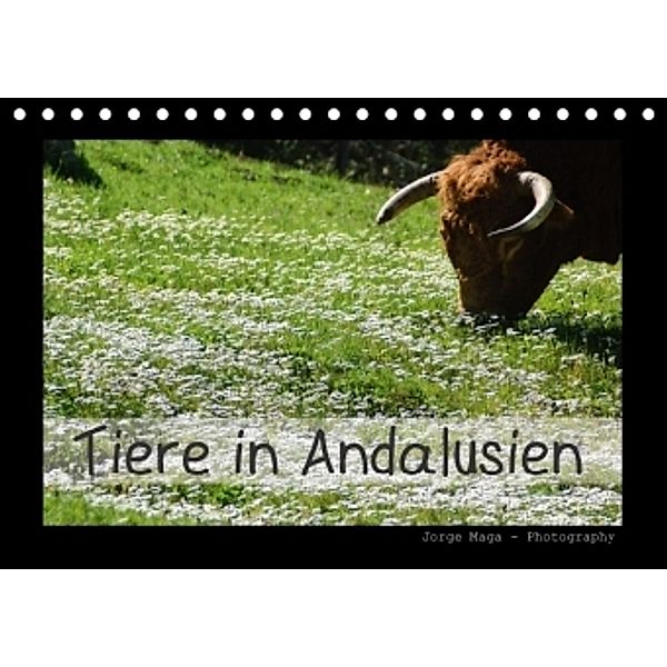 Tiere in Andalusien (Tischkalender 2015 DIN A5 quer), Jorge Maga