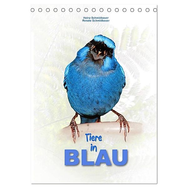 Tiere in Blau (Tischkalender 2024 DIN A5 hoch), CALVENDO Monatskalender, Heinz Schmidbauer