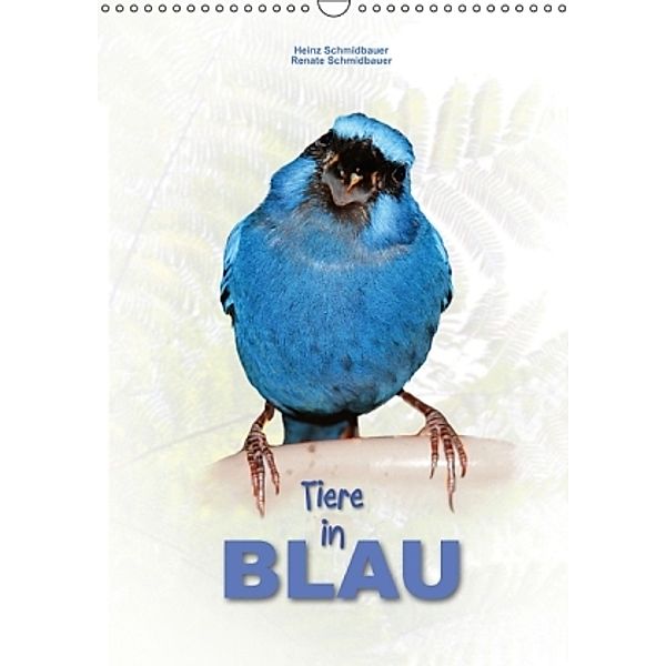 Tiere in Blau (Wandkalender 2016 DIN A3 hoch), Heinz Schmidbauer