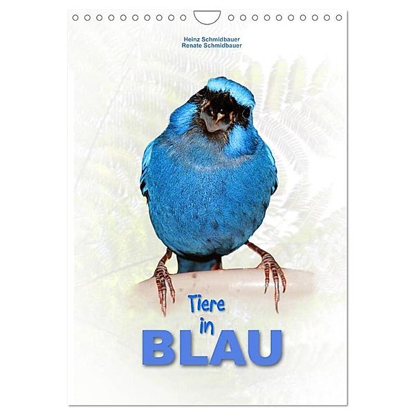 Tiere in Blau (Wandkalender 2025 DIN A4 hoch), CALVENDO Monatskalender, Calvendo, Heinz Schmidbauer