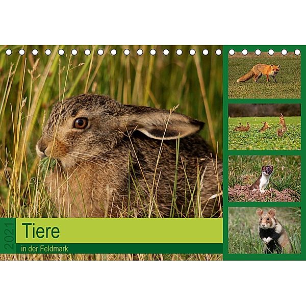 Tiere in der Feldmark (Tischkalender 2021 DIN A5 quer), Winfried Erlwein