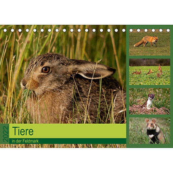 Tiere in der Feldmark (Tischkalender 2022 DIN A5 quer), Winfried Erlwein