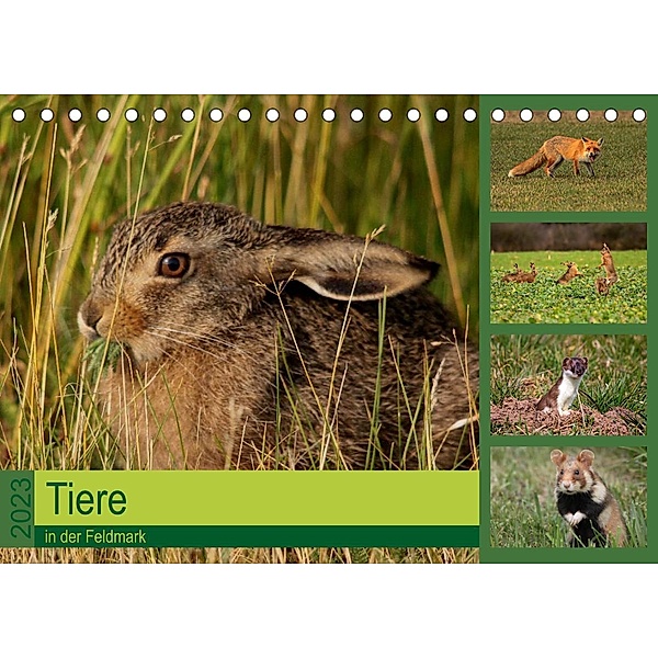 Tiere in der Feldmark (Tischkalender 2023 DIN A5 quer), Winfried Erlwein
