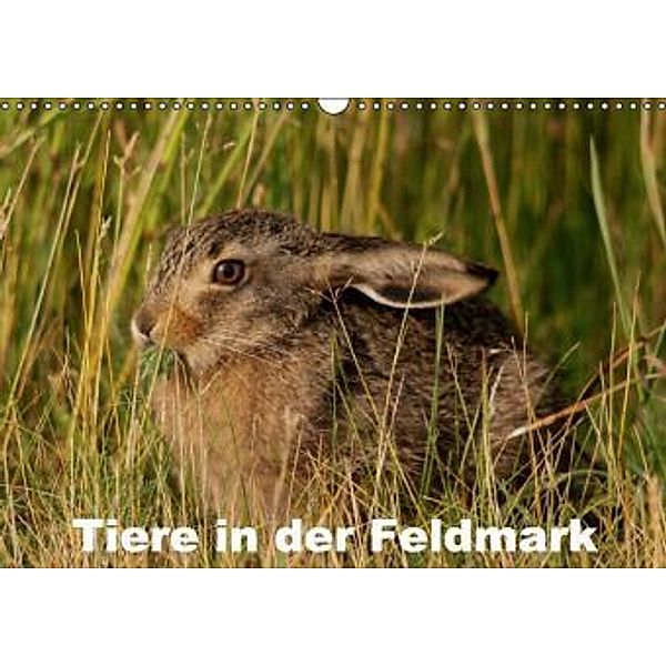 Tiere in der Feldmark (Wandkalender 2016 DIN A3 quer), Winfried Erlwein