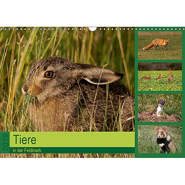 Tiere in der Feldmark (Wandkalender 2019 DIN A3 quer), Winfried Erlwein