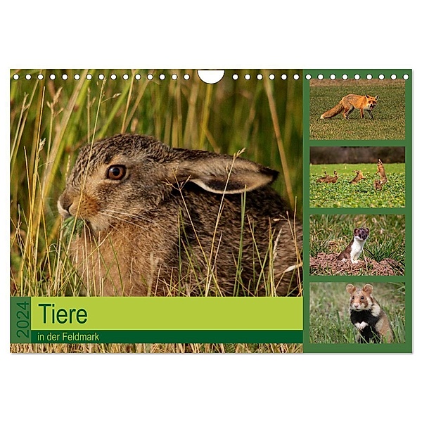 Tiere in der Feldmark (Wandkalender 2024 DIN A4 quer), CALVENDO Monatskalender, Winfried Erlwein