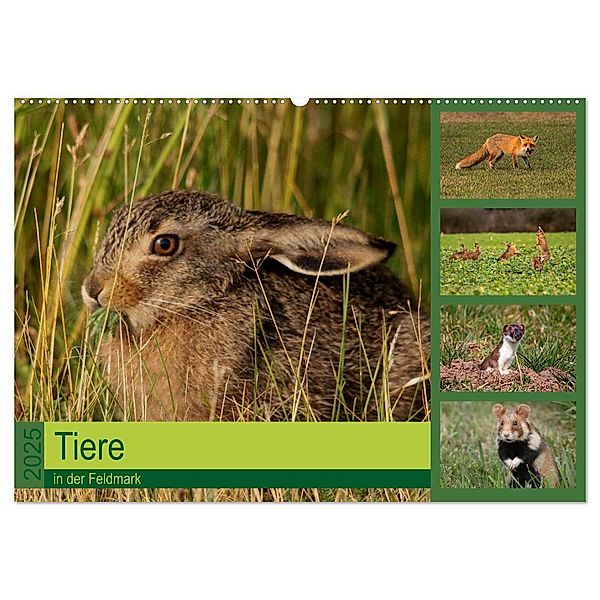 Tiere in der Feldmark (Wandkalender 2025 DIN A2 quer), CALVENDO Monatskalender, Calvendo, Winfried Erlwein
