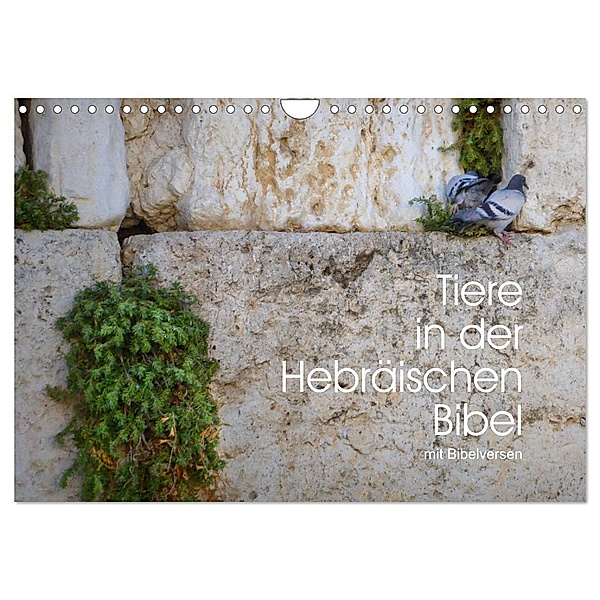 Tiere in der Hebräischen Bibel mit Bibelversen (Wandkalender 2024 DIN A4 quer), CALVENDO Monatskalender, Hans-Georg Vorndran