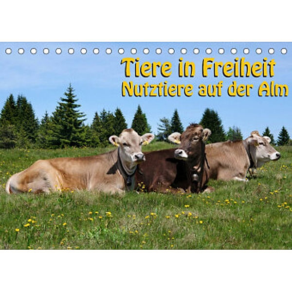 Tiere in Freiheit - Nutztiere auf der Alm (Tischkalender 2022 DIN A5 quer), Georg Niederkofler