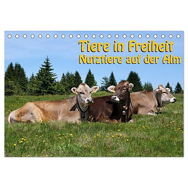 Tiere in Freiheit - Nutztiere auf der Alm (Tischkalender 2024 DIN A5 quer), CALVENDO Monatskalender, Georg Niederkofler