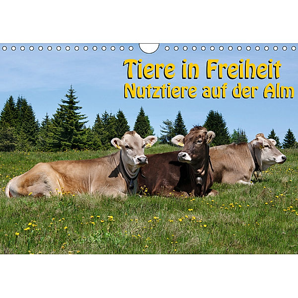 Tiere in Freiheit - Nutztiere auf der Alm (Wandkalender 2019 DIN A4 quer), Georg Niederkofler