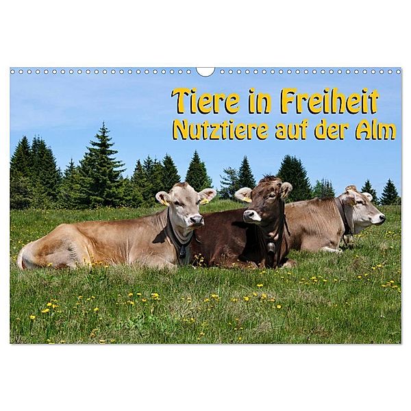 Tiere in Freiheit - Nutztiere auf der Alm (Wandkalender 2024 DIN A3 quer), CALVENDO Monatskalender, Georg Niederkofler