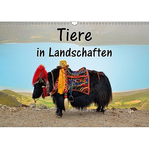 Tiere in Landschaften (Wandkalender 2018 DIN A3 quer), Florian Blümm
