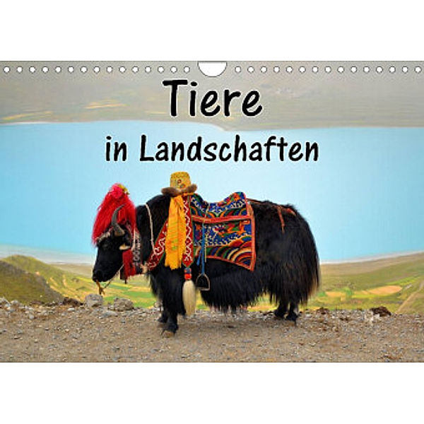 Tiere in Landschaften (Wandkalender 2022 DIN A4 quer), Florian Blümm