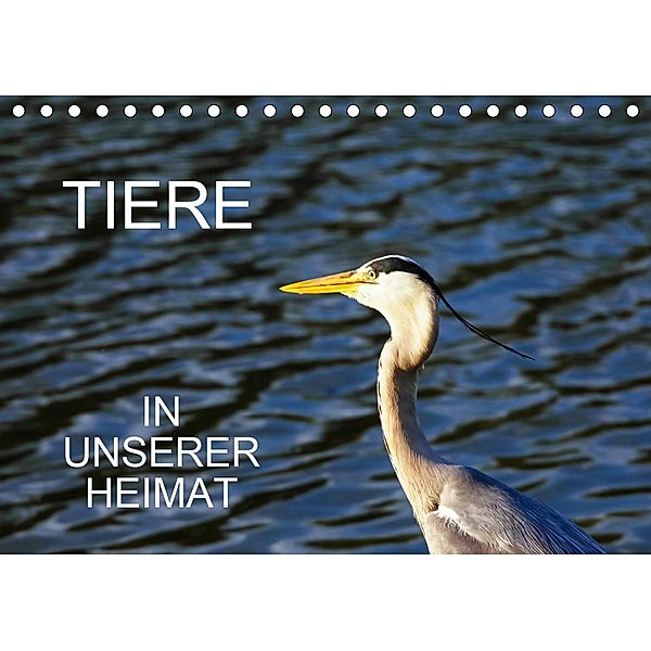 Tiere in unserer Heimat (Tischkalender 2021 DIN A5 quer), Anette/Thomas Jäger