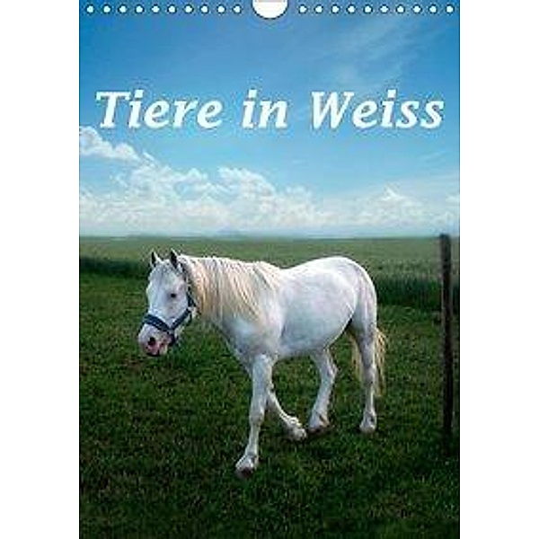 Tiere in Weiss (Wandkalender 2019 DIN A4 hoch), Liselotte Brunner-Klaus