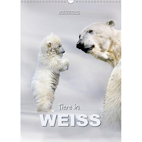 Tiere in Weiß (Wandkalender 2021 DIN A3 hoch), Heinz Schmidbauer