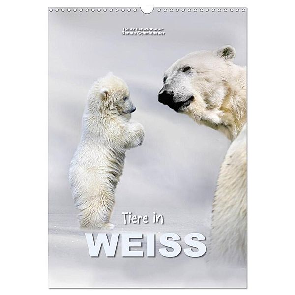Tiere in Weiß (Wandkalender 2024 DIN A3 hoch), CALVENDO Monatskalender, Heinz Schmidbauer
