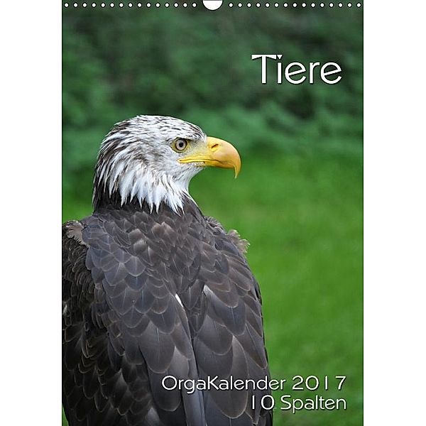 Tiere OrgaKalender 10 Spalten (Wandkalender 2017 DIN A3 hoch), www.OrgaKalender.de