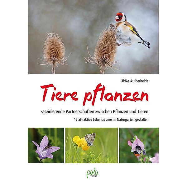 Tiere pflanzen, Ulrike Aufderheide