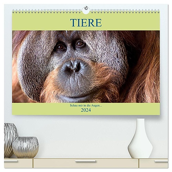 Tiere Schau mir in die Augen (hochwertiger Premium Wandkalender 2024 DIN A2 quer), Kunstdruck in Hochglanz, Armin Joecks