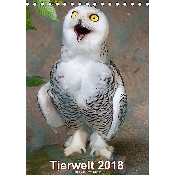 Tiere (Tischkalender 2018 DIN A5 hoch), Uwe Kantz
