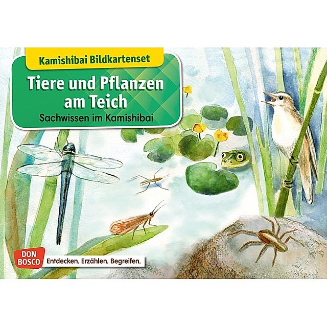 Tiere und Pflanzen am Teich. Kamishibai Bildkartenset Buch