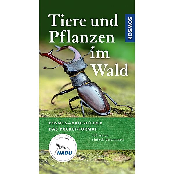 Tiere und Pflanzen im Wald / Kosmos-Naturführer Basics, Ute Wilhelmsen