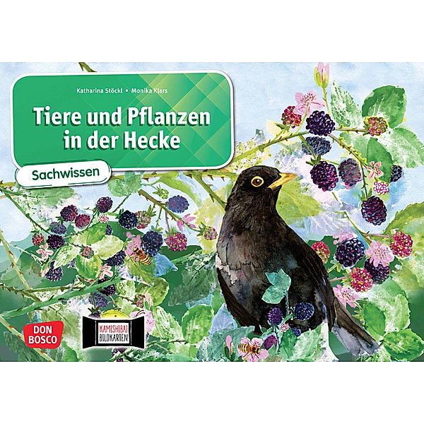 Tiere und Pflanzen in der Hecke. Kamishibai Bildkartenset, Katharina Stöckl-Bauer