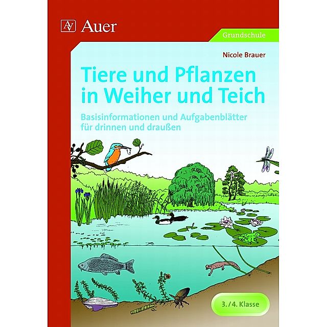 Tiere und Pflanzen in Weiher und Teich Buch versandkostenfrei - Weltbild.de