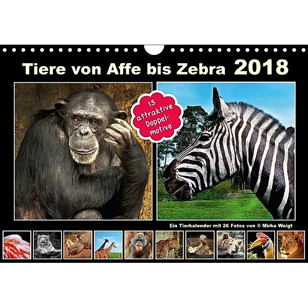 Tiere von Affe bis Zebra 2018 (Wandkalender 2018 DIN A4 quer), © Mirko Weigt