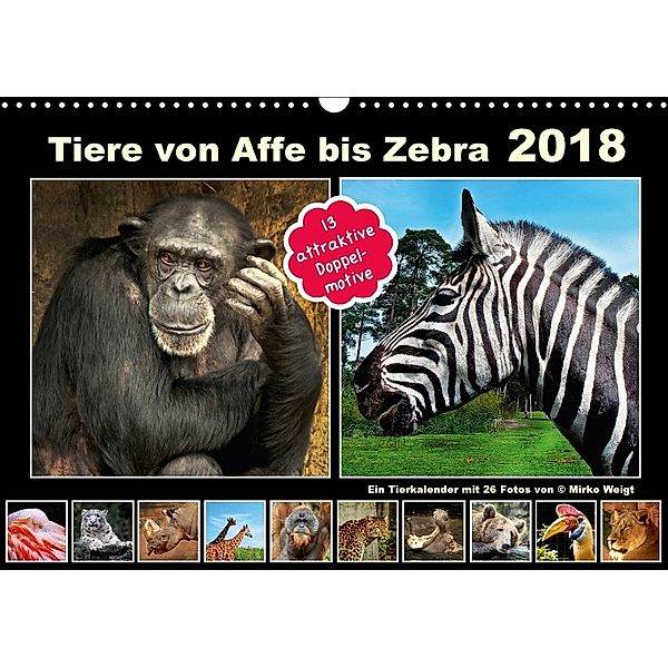 Tiere von Affe bis Zebra 2018 (Wandkalender 2018 DIN A3 quer), © Mirko Weigt