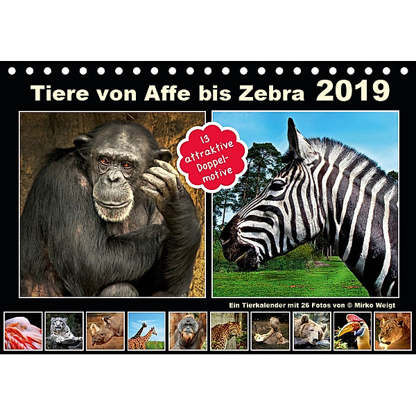 Tiere von Affe bis Zebra 2019 (Tischkalender 2019 DIN A5 quer), © Mirko Weigt