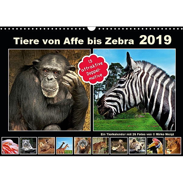 Tiere von Affe bis Zebra 2019 (Wandkalender 2019 DIN A3 quer), © Mirko Weigt