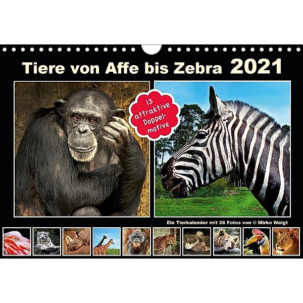 Tiere von Affe bis Zebra 2021 (Wandkalender 2021 DIN A4 quer), © Mirko Weigt, Hamburg