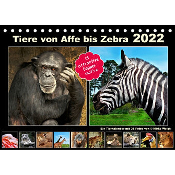 Tiere von Affe bis Zebra 2022 (Tischkalender 2022 DIN A5 quer), Hamburg, © Mirko Weigt