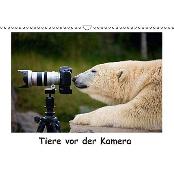 Tiere vor der Kamera (Wandkalender 2016 DIN A3 quer), Thomas Fietzek