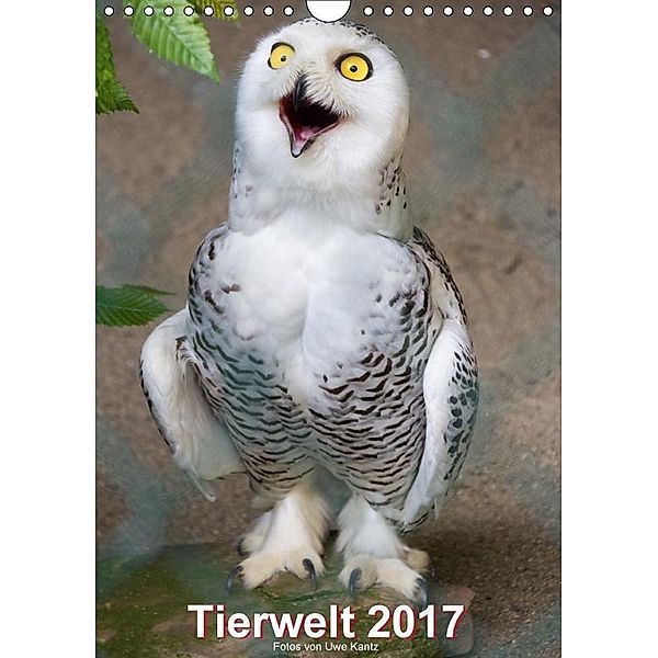 Tiere (Wandkalender 2017 DIN A4 hoch), Uwe Kantz