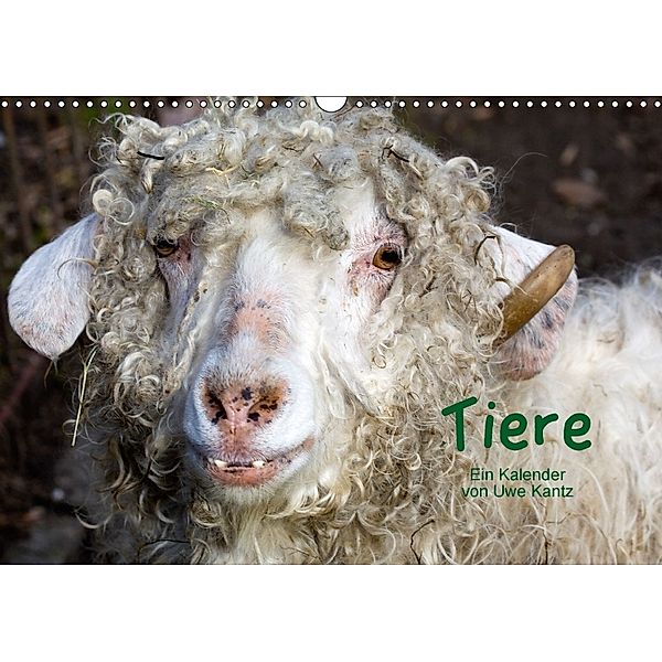 Tiere (Wandkalender 2018 DIN A3 quer), Uwe Kantz