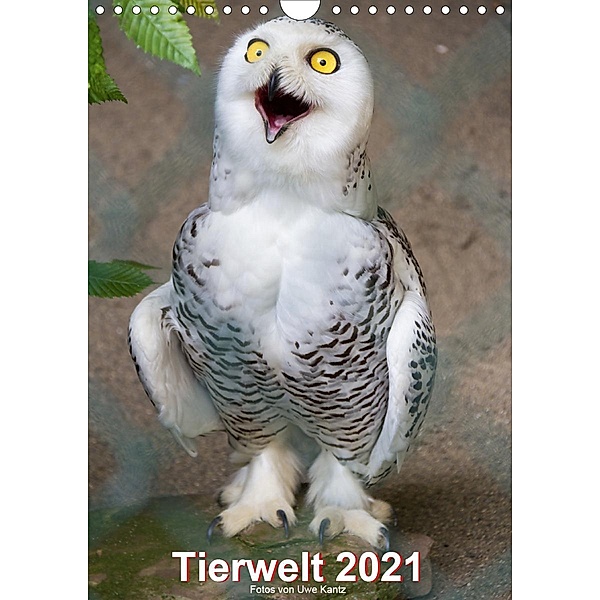 Tiere (Wandkalender 2021 DIN A4 hoch), Uwe Kantz