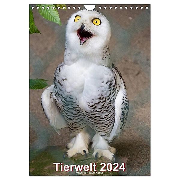 Tiere (Wandkalender 2024 DIN A4 hoch), CALVENDO Monatskalender, Uwe Kantz