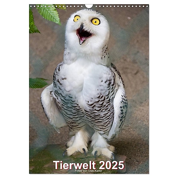 Tiere (Wandkalender 2025 DIN A3 hoch), CALVENDO Monatskalender, Calvendo, Uwe Kantz
