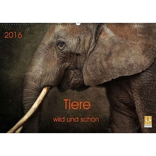 Tiere - wild und schön (Wandkalender 2016 DIN A2 quer), Claudia Möckel / Lucy L!u